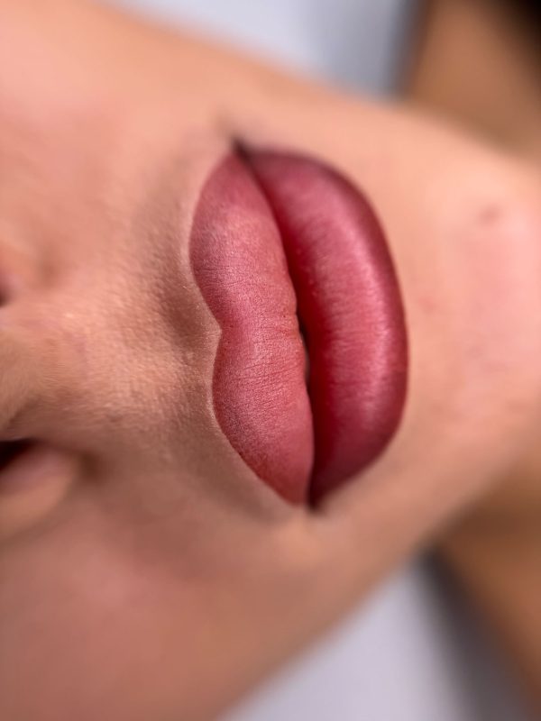 online-mc-ombre-lips-1 PMU Ombre lips